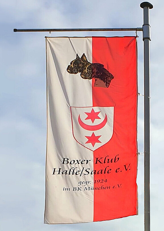 fahne-bk-halle.jpg