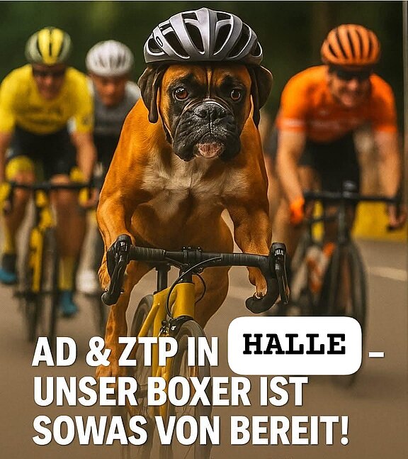 Boxer auf Fahrrad - KI-generiertes Bild zur Ausdauer- und Zuchttauglichkeitsprüfung